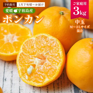 �|���J�� 3kg �������� [�t���b�V�������] �|���J�� 3kg �y1�����{���`�����z���z /�� �ʕ� �݂��� �~�J�� ���Q�� �F�a�� �݂���̂ӂ邳�� �g�c�݂��� �_�� �~�J�����Y�ʓ��{�� �ƒ�p ��