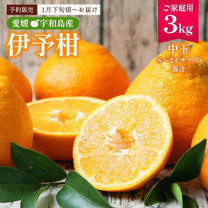 悩 3kg  [tbV] ɗ\ 3kg y1{`zz / ʕ ݂ ~J Q Fa ݂̂ӂ邳 gc݂ _ ~JYʓ{ ƒp k