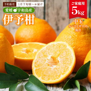 悩 5kg  [tbV] ɗ\ 5kg y1{`zz / ʕ ݂ ~J Q Fa ݂̂ӂ邳 gc݂ _ ~JYʓ{ ƒp k