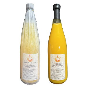 ݂W[X [GqGQ[Wt@[] B݂W[X GQ[Wuebh I {쑁승20 ۍi\tgXNC[Y 720ml 2{Zbg Mtg /Mtg 蕨 W