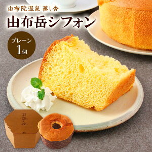 VtHP[L [z@] RzxVtH(v[) 1 /XC[c fU[g P[L VtHP[L yY ݂₰ JtF 啪 z@ ÂXC[c ÂfU[g z@