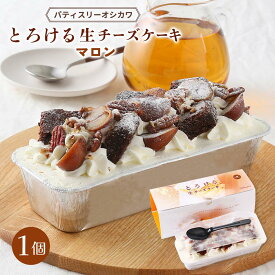 ケーキ [パティスリーオシカワ] とろける生チーズケーキ マロン 1個 /スイーツ 宮崎県 新食感 生ケーキ チョコレート マロン 栗 プレミアム 豪華 母の日 父の日 プレゼント