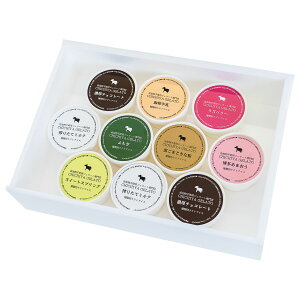 WF[g [CHICHIYA] KWF[g 10Zbg /ACX Mtg Zbg 蕨 v[g XC[c ACXN[ fU[g