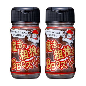 XpCX [t@Ct[YWp] @̑e҂BBQXpCX 40g×2Zbg /Xe[L jG  Lv o[xL[ J[ \ h @̃XpCX BBQ AEghA