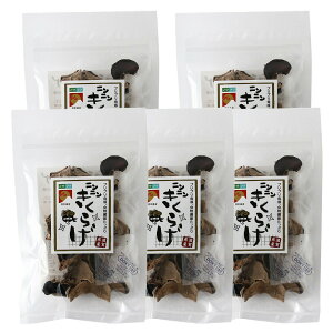 [KOHDEN] 炰 jj炰 10g×5܃Zbg /؎ 炰 LNQ 炰 ۑ ꌧ bs E҂̗ E ɂɂ ɂɂ񂫂炰 vvH H@