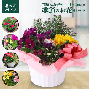 Iׂ锫A t[Mtg  [Suzuka] ԉɂC G߂̂ԃZbg 3`4 6`6.5TCY /܂ 񂹐A  i Mtg bZ[WJ[h bsO  v