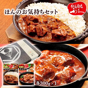 MtgZbg [v] uYėvvق̂CZbg (傫ȋJ[ 300g×1A傫ȋV`[ 300g×1) /gg O ^ ggJ[ Mtg 蕨 Ε