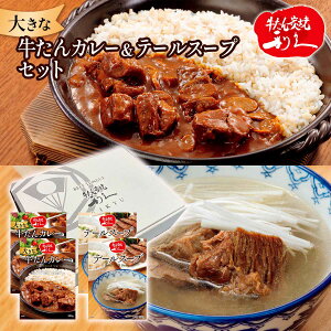 MtgZbg [v] uYėvv傫ȋJ[&e[X[vZbg(傫ȋJ[ 300g×2Ae[X[v 250g×2) /gg X[v O ^ ggJ[ gg