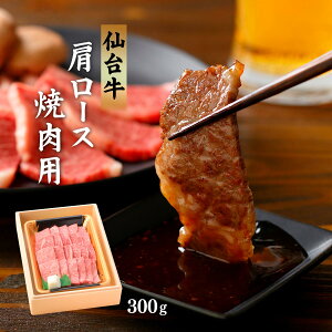 [ha] 䋍[X ēp 300g /  {錧 O Mtg 蕨 v[g a ō Y BBQ