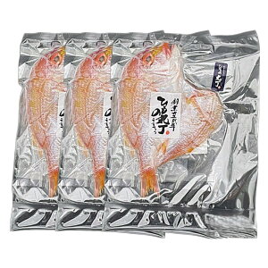 [Y]  J 1×3pbN Eۗܕt / Y ܂ B Ⓚ Ђ  i