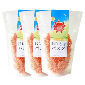 [ʒJˏ] pX^ Ђ܃pX^ 100g×3܃Zbg /pX^ Y XpQbeB XpQeB pX^ `` 