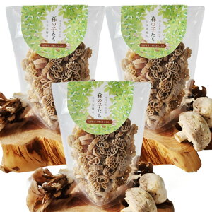 [ʒJˏ] pX^ X̎q 100g×3܃Zbg /pX^ Y XpQbeB XpQeB pX^ `` 