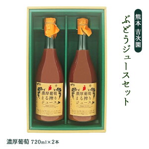 Mtg [g] ԂǂW[XZbg 720ml×2{ /Mtg 蕨  O[vW[X t[cW[X F{ F{v ό_ _ t[c ʕ vX ̂藧ăt[c 