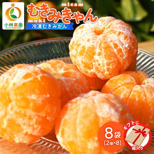 Ⓚ ݂ [щʉ] ނ݂Mtg 2×8 /t[c ݂ ʕ Ⓚ Q Ⓚt[c Â Ⓚ݂