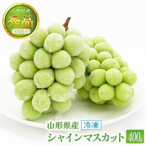 R`Y VC}XJbg 400g [V{] ϔⓀVC}XJbg 1[ 400g yʔN̔z/t[c ʕ Mtg 蕨 Y R` Ⓚ t[c ƒp }XJbg 