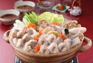 Zbg [t[Y] ӂƂ񂱂̂l ӂ(VTotOؐgAgtOA)200gA񂱂200gAӂ||10g×2A݂낵10g×2 /O Zbg  Y Zbg 