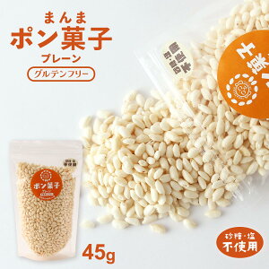 |َq [哿] ܂܃|َq v[ Esgp 45g /ĉَq H VA H Ԃ  xr[t[h ۑ Y Oet[ َq َq yY