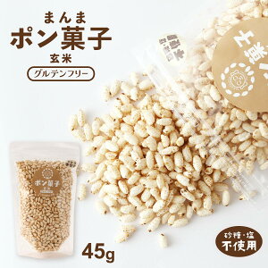 |َq [哿] ܂܃|َq  Esgp 45g /ĉَq H VA H Ԃ  xr[t[h ۑ Y Oet[ َq َq yY