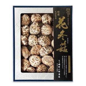 ő [PYX] I Ԃǂ񂱔 160g / ő    ǂ 啪 Mtg 蕨 v[g j