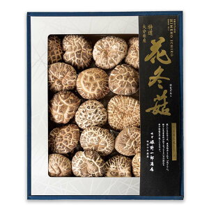 ő [PYX] I Ԃǂ񂱔 210g / ő    ǂ 啪 Mtg 蕨 v[g j