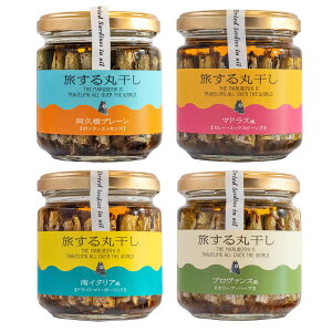 hCCVICЂ [FjX] hC킵ICЂ ۊ 4{Zbg vv[A}hXAv@XAC^A /ICT[fB ICÂ 