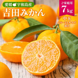 Q݂ 7kg [tbV] gc݂ ƒp 7kg y:9{`z/ ʕ t[c B݂ ~J Q Fa Yn {̖o gc݂ Fa݂ ƒ