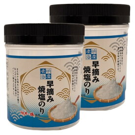 [有明海苔] のり 【有明海産】早摘み焼塩のり 10切60枚(板海苔6枚分)×2個セット /のり 海苔 有明海 ギフト 贈答 おにぎり 弁当 手土産 ご飯のお供 お土産 国産 乾物