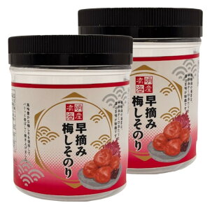 [LC] ̂ yLCYzEݔ~̂ 1060(C6)×2Zbg /̂ C LC Mtg  ɂ ٓ yY т̂ yY Y 