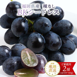 Y  [] Y 햳(BKV[hX) 400g`450g×2[ ƒp y:8{`9z/t[c Y Y uhE  ƒp Ȃ Ԃǂ N