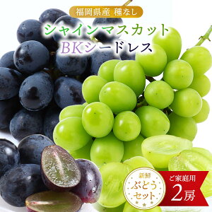 YuhEZbg  [] Y ԂǂZbg (VC}XJbg500g×BKV[hX(햳)400`450g) ƒp y:8{`9z/t[c Y uh