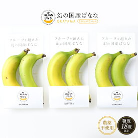 岡山県産バナナ 幻の国産バナナ 瀬戸内ばなな 2本入り×3パック 【出荷時期:6月上旬～】/プランター 無農薬 農薬不使用 国産 果物 くだもの フルーツ 青果 黄金の香り 幻の品種 グロスミシェル種 貴重 高級バナナ 瀬戸内バナナ 栄養補給 糖度18度以上 送料無料