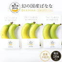 岡山県産バナナ 幻の国産バナナ 瀬戸内ばなな 2本入り×3パック /プランター 無農薬 農薬不使用 国産 果物 くだもの …