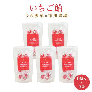 [s_] َq  9×5܃Zbg /َq  LfB Y LfB[  A