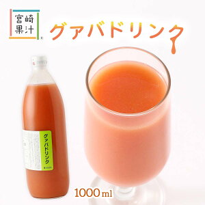 [{ʏ`] W[X O@ohN 1000ml /W[X Y {茧 t[cW[X O@oW[X t[chN Z z[p[eB[ O@o gsJ