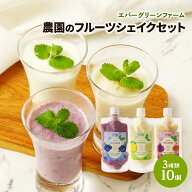 [エバーグリーンファーム] シェイク 農園のフルーツシェイクセット いちじく120ml×3個、ブルーベリー120…