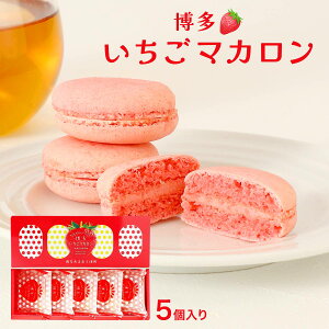 [MY] }J }J 5 /܂   C`S }J yY XC[cَq }J䕃}J YXC[c XC[cMtg 䕃N[