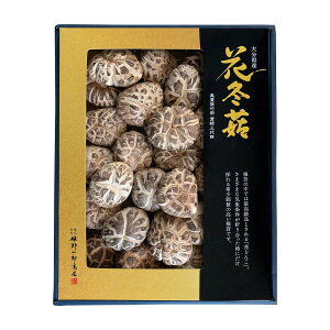 ő [PYX] I Ԃǂ񂱔 160g / ő    ǂ 啪 Mtg 蕨 v[g j