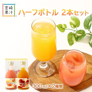 W[X 2{Zbg [{ʏ`] n[t{g2{Zbg(GP) O@oApbVt[c 300ml×e1{ /Mtg 蕨 W[X {茧 O@oW[X O@o pbVt[c t[cW