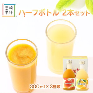 W[X 2{Zbg [{ʏ`] n[t{ghN2{Zbg(MH) }S[A 300ml×e1{ /Mtg 蕨 {茧 t[cW[X ʕ t[c 썑{ gsJt[c }S