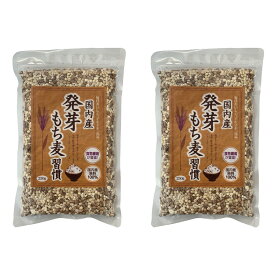 [ベストアメニティ] 雑穀米 国内産 発芽もち麦習慣 250g×2袋セット /国産 雑穀米 食物繊維 健康食品 栄養バランス 美容 健康 健康習慣 ダイエット 保存食 常備