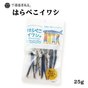 CV [FjX] ۊ vY ͂؂CV 25g /킵 ߂킵  v |  a o 