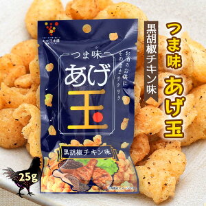  [aHiH] ʖ{ ܖ Ӟ`L 25g / ܂ XibN ܂ ܂݂  ƈ TNTN v`XibN َq [