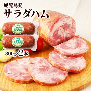 [i`N] T_n T_n 800g×2{Zbg /n T_n Y  vXn  ܂ nJc nXe[L 閧̃P~SHOW  i`N gbsO 