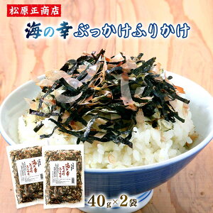 [X] ӂ肩 C̍KԂӂ肩 40g×2܃Zbg /ӂ肩 tJP C̍K gbsO Ԃ ˂܂ Ԃ T_ z DݏĂ pX^ ܓ