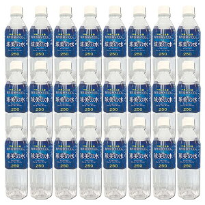  [vēCm[wJ] Cm[w ̐ dx250 500ml×24{ ~lEH[^[ ݂̐ ꌧ vē Cm[w N d ⋋ X|[c P[X̔ 