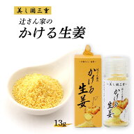 [うれし野ラボ] 調味料 かける生姜 13g /調味料 生姜調味料 しょうが 顆粒生姜 携帯用 MYショウガ かける…