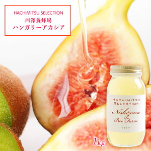 [V{I] nK[YAJVA 1kg /{ I ݂͂ n`~c nj[ e N AJVA