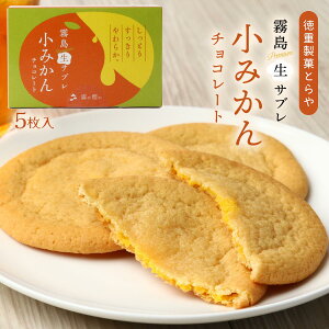 َq [dقƂ] v~ATu ݂`R[g 5 /Ԃ ~J  `R[g ĉَq  yY Ԃ H Ƃ 