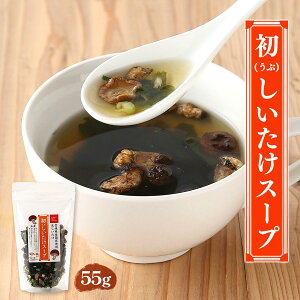 X[v [c] ԂX[v 55g /ȒP ֗   Q ȃX[v X[v VC^P     Ԃ ȏ` ȃX[v