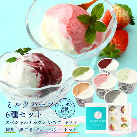 【10%OFF 楽天スーパーSALE限定】送料無料 [阿蘇天然アイス] アイスクリーム ハーフ&ハーフアイス 6種セット /ジェラート アイスセット 冷菓 デザート ギフト 贈り物 詰合せ ホームパーティー 人気 子ども